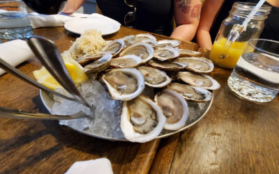 Elmdale Oyster House & Tavern