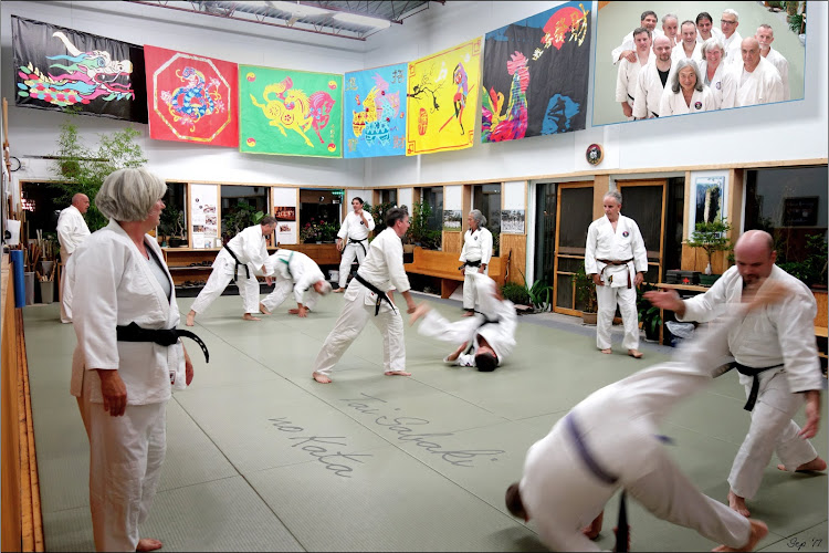 Aikido Jiseikan Ottawa