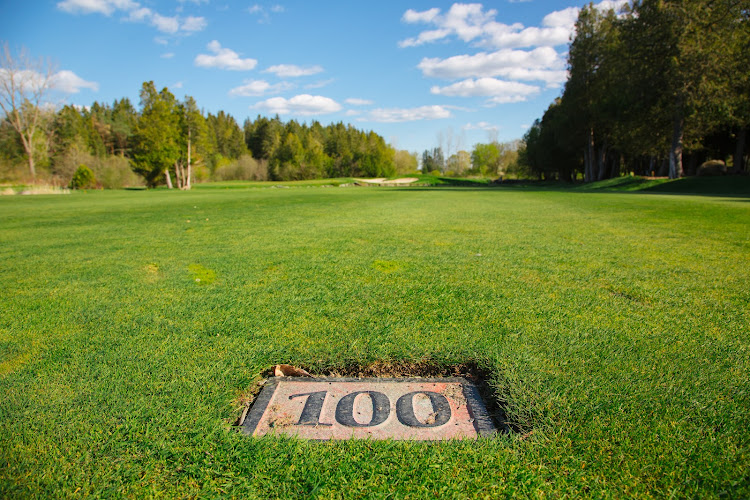 Black Bear Ridge Golf & Resort