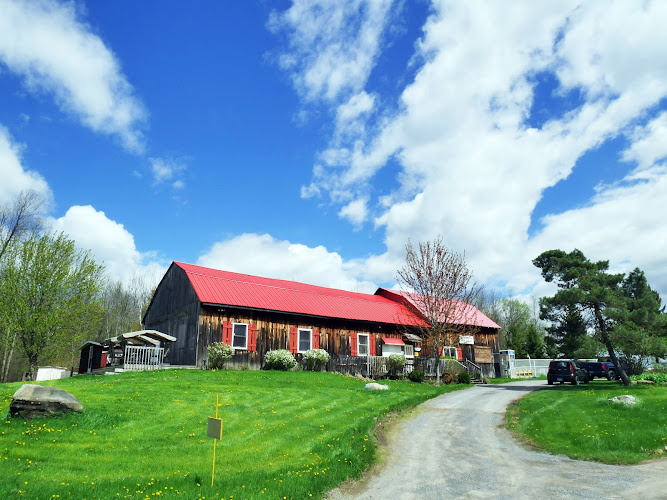 Cameron’s Point Family Campground