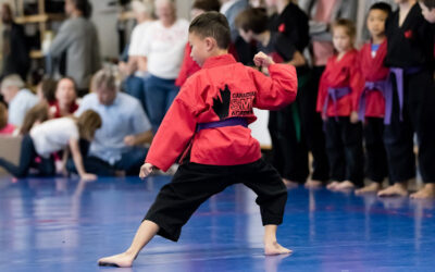 Canadian Sport Martial Arts Academy – CSMA