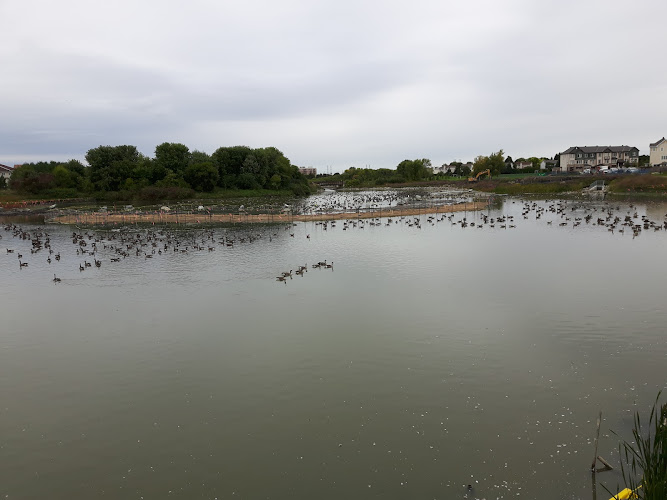 Exclusive Moment Photography