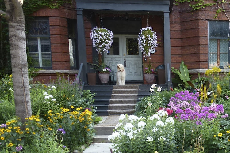 King Edward Bed & Breakfast