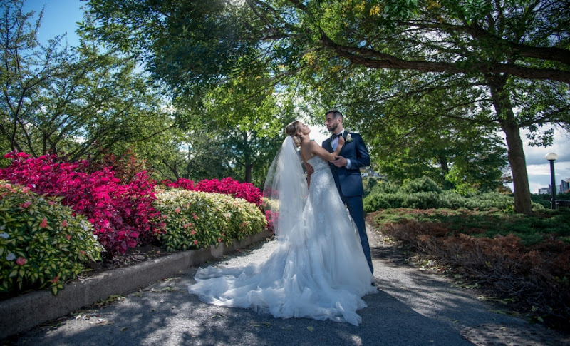 Mark Cooper Photography