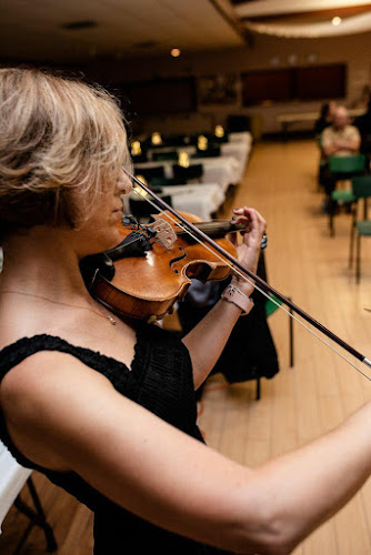 Mira’s Violin Studio, Violinist for Wedding & Special Event, Live Music, Violin Lessons