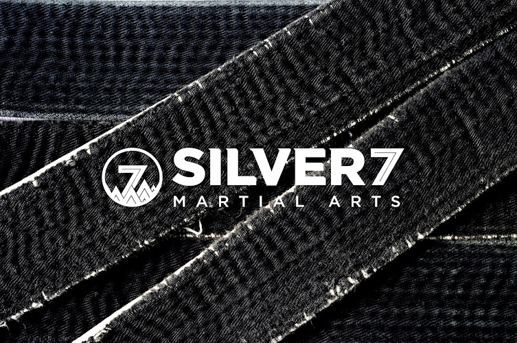 Silver 7 Martial Arts & Fitness – Barrhaven