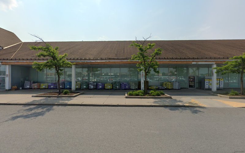Theodore & Pringle Optical in Loblaws