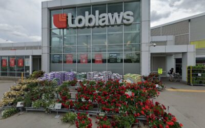 Theodore & Pringle Optical in Loblaws