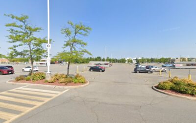 Theodore & Pringle Optical in Real Canadian Superstore