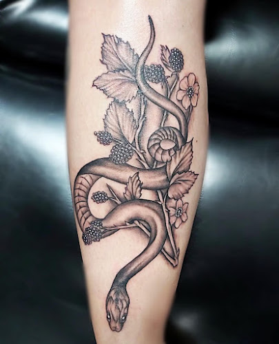 Wild Ink Studios 6