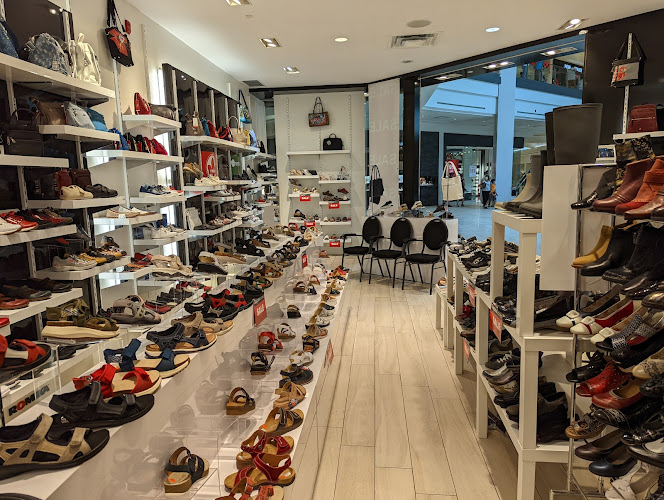 Zagros Shoes